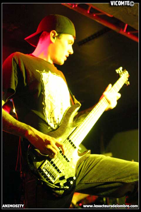 gal/ANIMOSITY/2008-10-08_-_Gibus/19.jpg