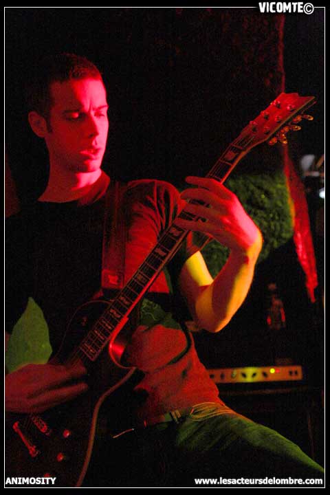 gal/ANIMOSITY/2008-10-08_-_Gibus/26.jpg