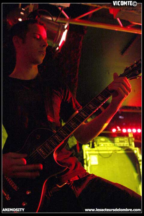 gal/ANIMOSITY/2008-10-08_-_Gibus/27.jpg