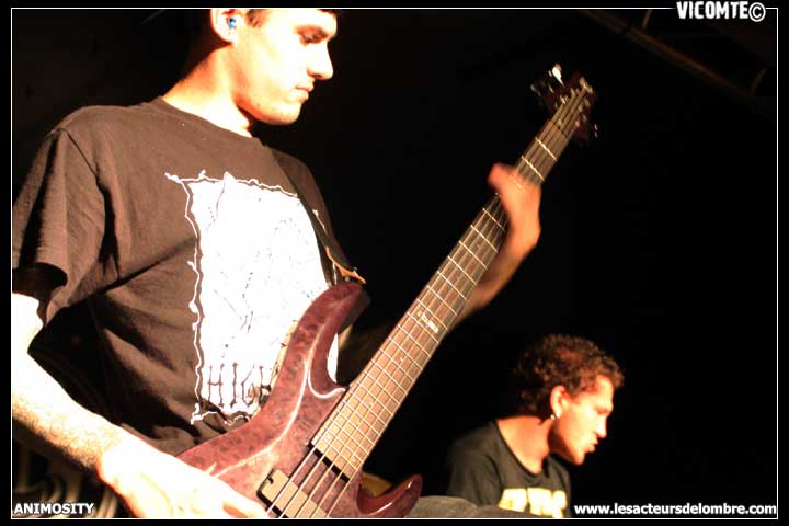 gal/ANIMOSITY/2008-10-08_-_Gibus/42.jpg