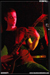 gal/ANIMOSITY/2008-10-08_-_Gibus/_thb_26.jpg