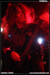 gal/CANNIBAL_CORPSE/2009-02-20_-_Elysee_Montmartre/_thb_65.jpg
