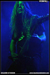 gal/CHILDREN_OF_BODOM/2009-02-20_-_Elysee_Montmartre/_thb_81.jpg