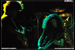 gal/CORROSIVE_ELEMENTS/2008-11-03_-_Scene_Bastille/_thb_30.jpg