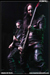 gal/CRADLE_OF_FILTH/2008-12-02_-_Bataclan/_thb_21.jpg