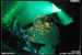 gal/CRADLE_OF_FILTH/2009-05-07_-_Cargo/_thb_48.jpg