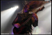 gal/CRADLE_OF_FILTH/2009-05-07_-_Cargo/_thb_55.jpg
