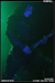 gal/CRADLE_OF_FILTH/2009-05-07_-_Cargo/_thb_68.jpg