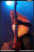 gal/DIE_APOKALYPTISCHEN_REITER/2008-12-07_-_Forum/_thb_12.jpg