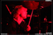 gal/DIE_SO_FLUID/2009-06-03_-_Scene_bastille/_thb_52.jpg