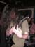 gal/HECTIC_PATTERNS/2006-02-26_-_Le_Klub/_thb_74.jpg