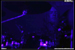 gal/ISKALD/2009-02-17_-_Nouveau_casino/_thb_40.jpg