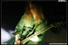 gal/KREATOR/2009-01-27_-_Elysee_montmartre/_thb_02.jpg