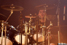 gal/LOKURAH/2008-06-07_-_Le_Forum/_thb_18.jpg