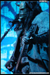 gal/LORDI/2009-02-18_-_Elysee_montmartre/_thb_16.jpg