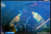 gal/LORDI/2009-02-18_-_Elysee_montmartre/_thb_42.jpg