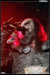 gal/LORDI/2009-02-18_-_Elysee_montmartre/_thb_69.jpg