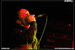 gal/LOSING_SUN/2008-10-26_-_Scene_Bastille/_thb_55.jpg