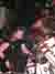 gal/METAL_UP_EM_ASS/2006-03-12_-_Le_Klub/_thb_22.jpg