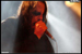 gal/SARGEIST/2009-01-17_-_Nouveau_casino/_thb_63.jpg