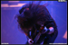 gal/SATYRICON/2008-11-23_-_Locomotive/_thb_75.jpg