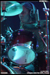 gal/TEXTURES/2009-04-11_-_Chaulnes_metal_fest_2009/_thb_51.jpg