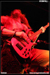 gal/TURISAS/2009-01-31_-_Elysee_montmartre/_thb_37.jpg