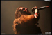 gal/TURISAS/2009-05-07_-_Cargo/_thb_38.jpg