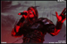 gal/TURISAS/2009-05-07_-_Cargo/_thb_80.jpg