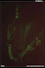 gal/VREID/2009-02-17_-_Nouveau_casino/_thb_19.jpg