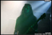 gal/VREID/2009-04-14_-_Nouveau_casino/_thb_39.jpg