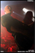 gal/VREID/2009-04-14_-_Nouveau_casino/_thb_52.jpg