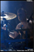 gal/VREID/2009-04-14_-_Nouveau_casino/_thb_56.jpg