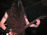 gal/WARGASM/2007-05-19_Le_Grand_Ecrin/_thb_04.jpg