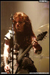 gal/ZONARIA/2008-11-23_-_Locomotive/_thb_15.jpg